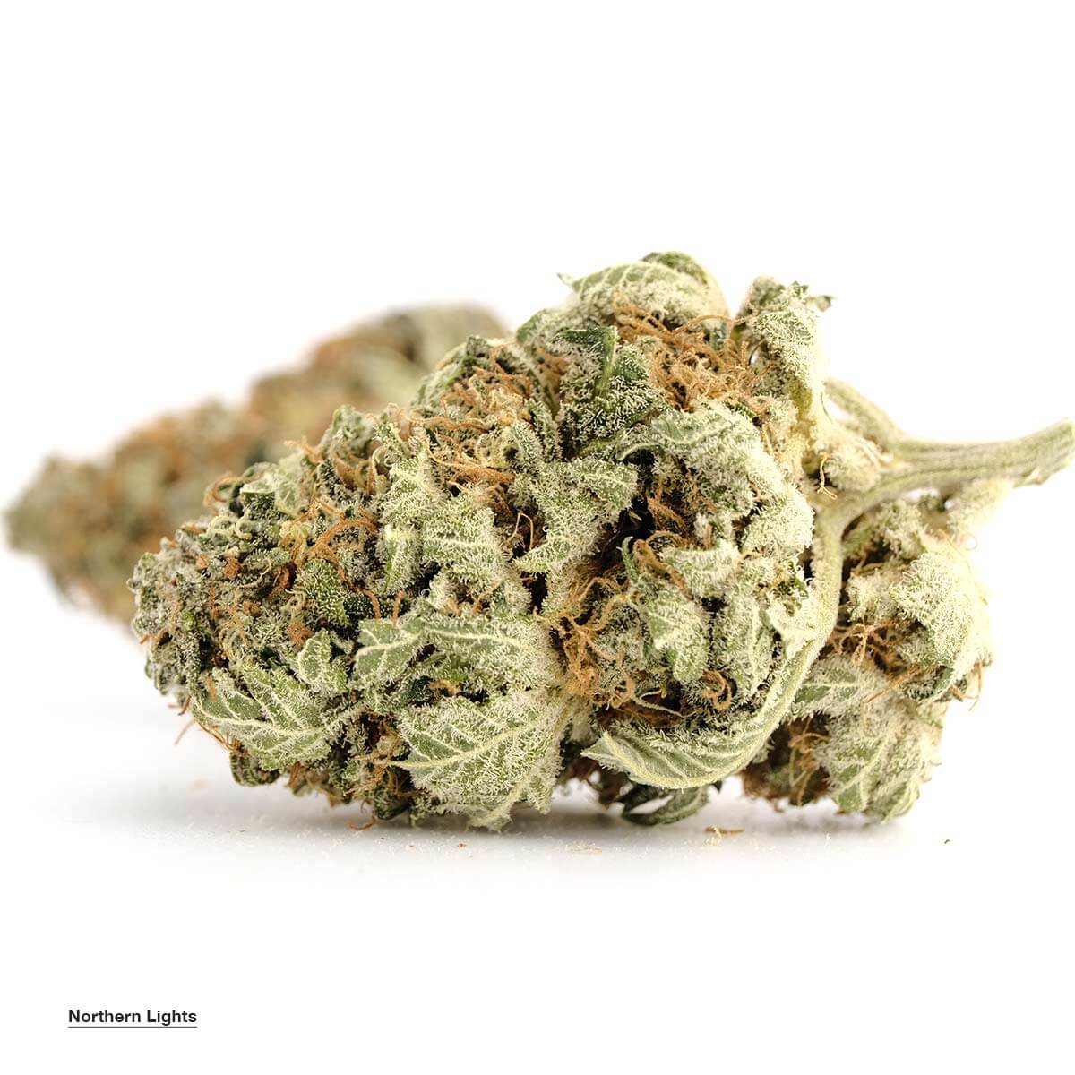 1379.jpg Northern Lights - Image 1