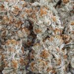 Kosher Kush - Image 2