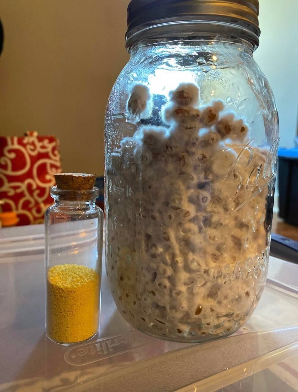 F4B8CC76-066E-49D4-9890-2CDE3B5AC72B.jpeg Dmt - Image 1