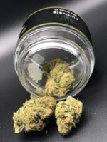 Blue Gelato - Image 2