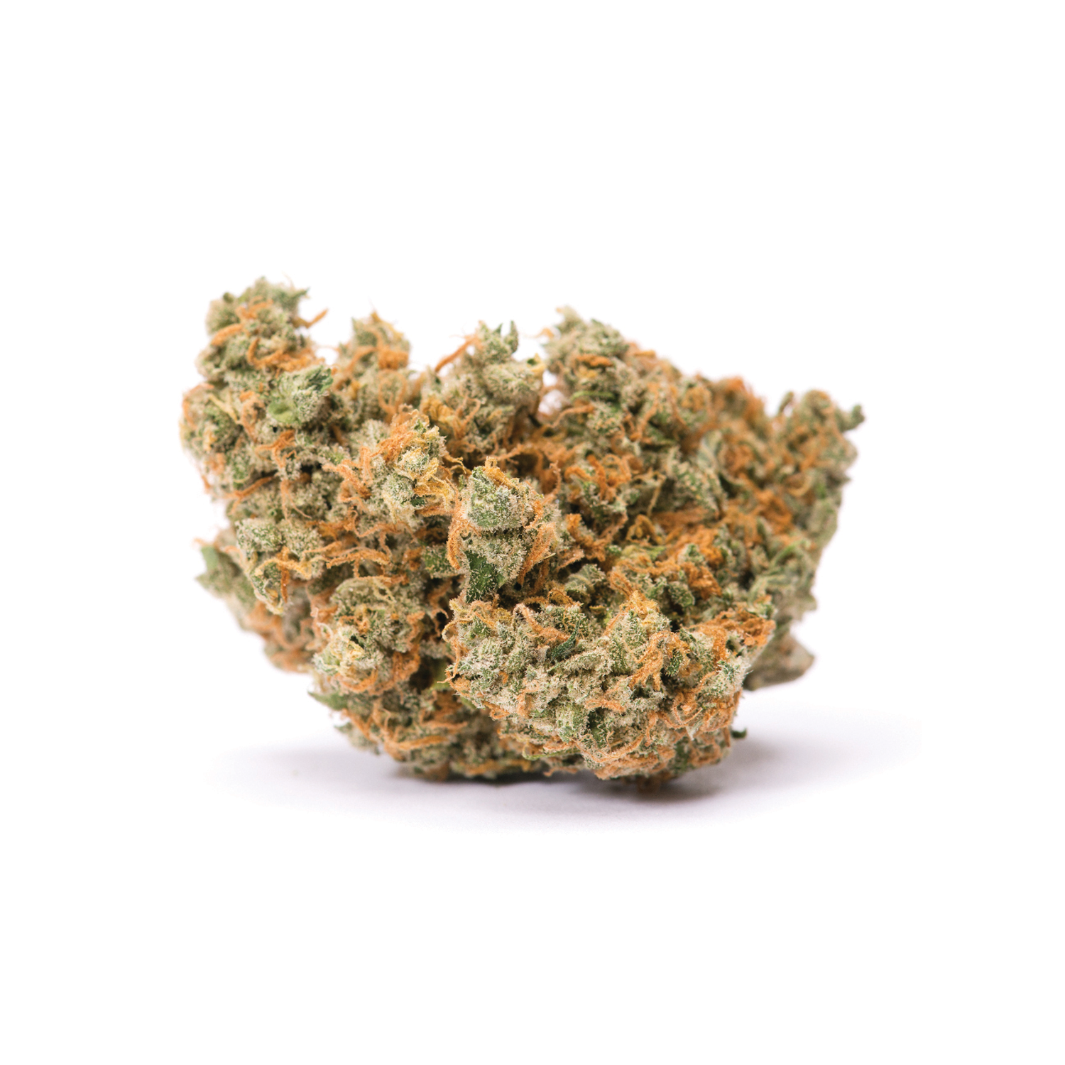 Jack_Herer_Main_Image.png Jack Herer - Image 1