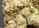 Lemon Kush - Image 2
