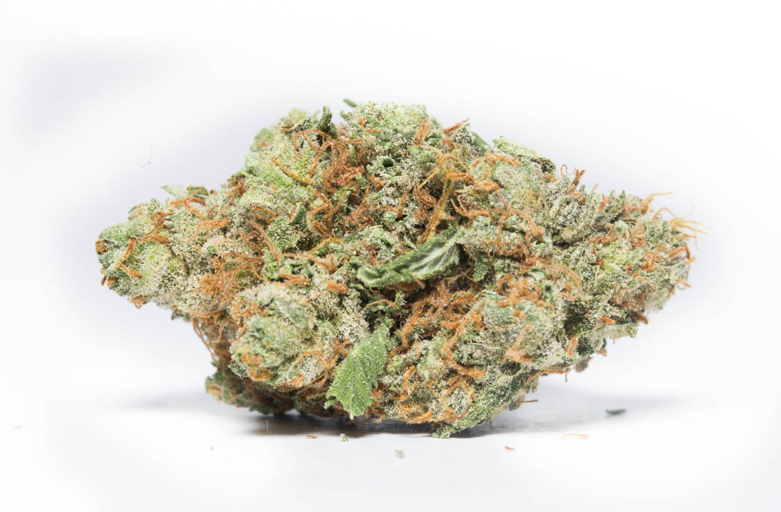 SCOUT-1.jpg Scout Master - Image 1