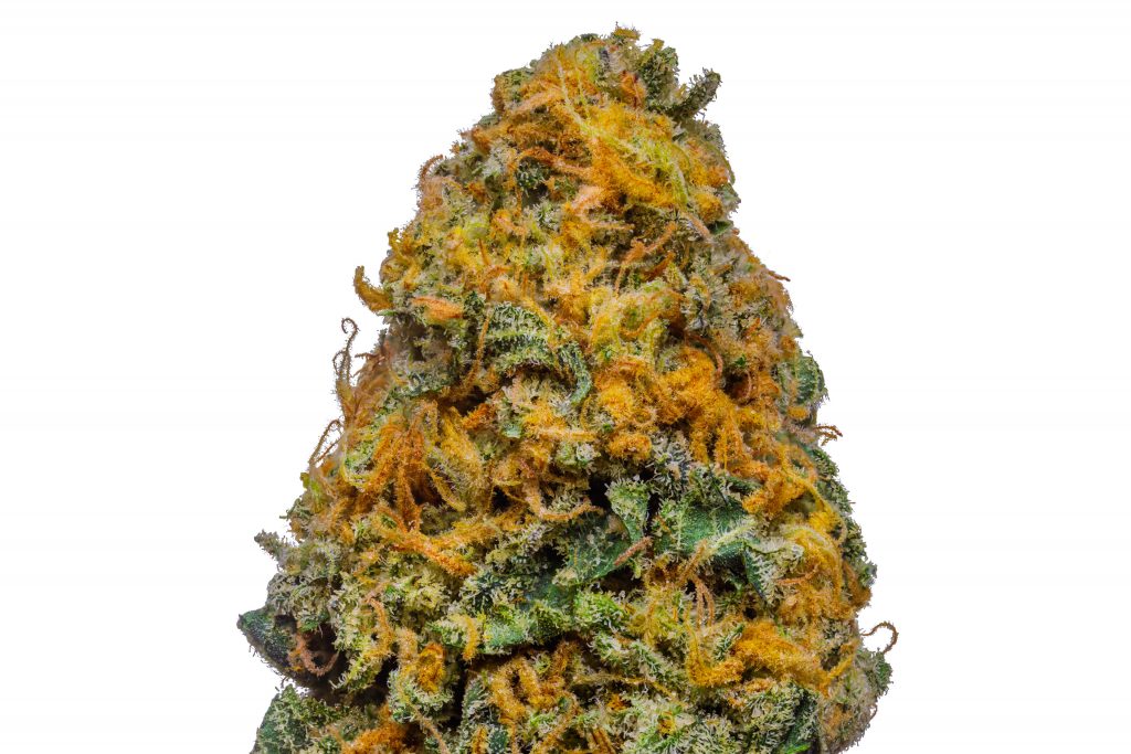 White-Cheese.00001-1024x683-1.jpeg White Cheese - Image 1