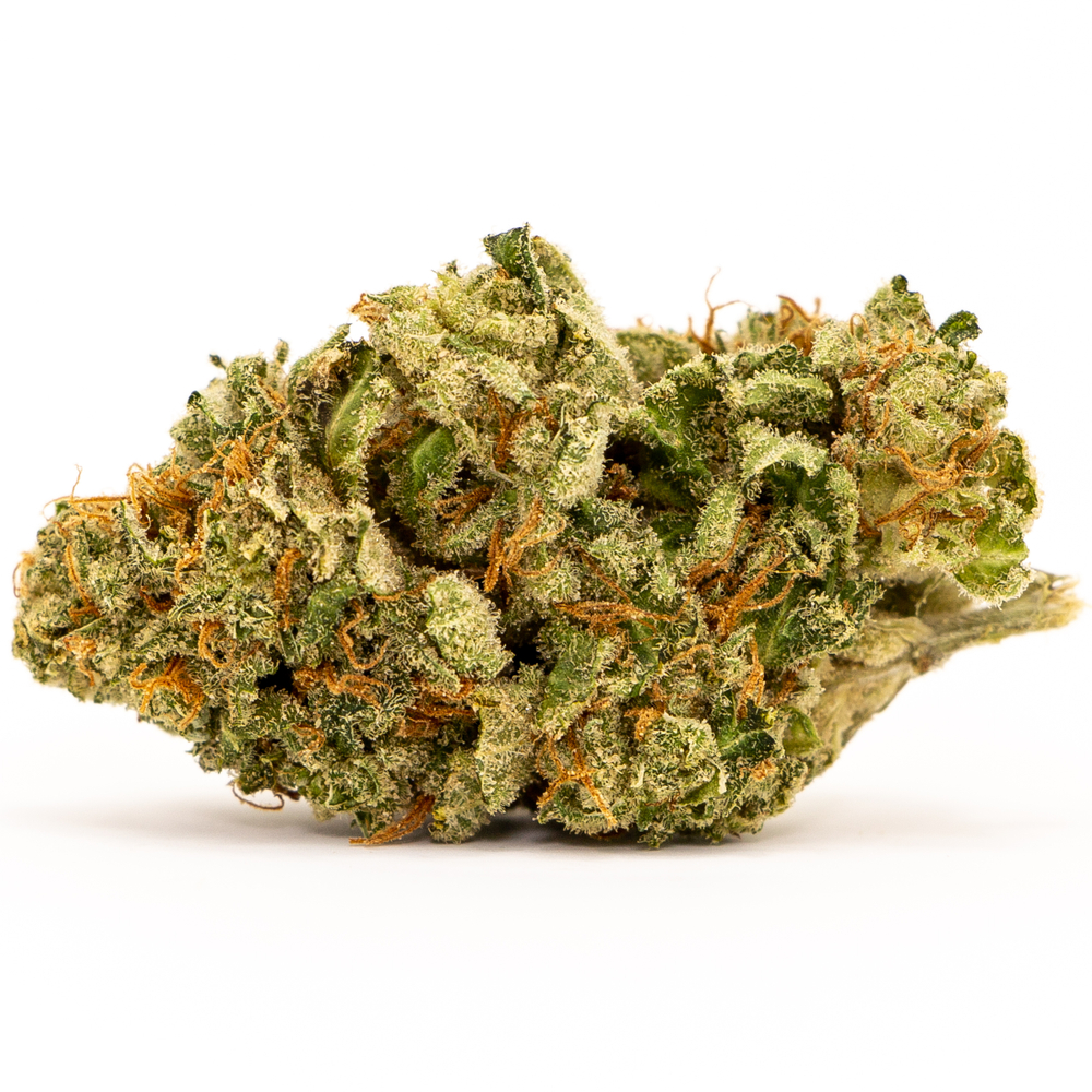 WhiteWidow.jpg White Widow - Image 1