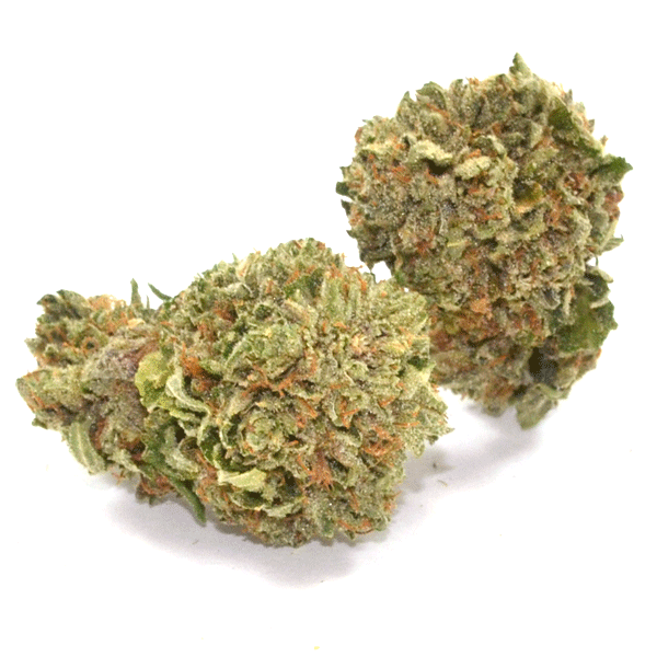 aaa7.gif AK-47 - Image 1