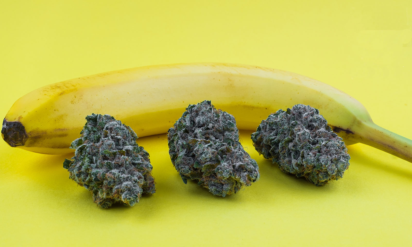 banana.jpg Chiquita banana strain - Image 1