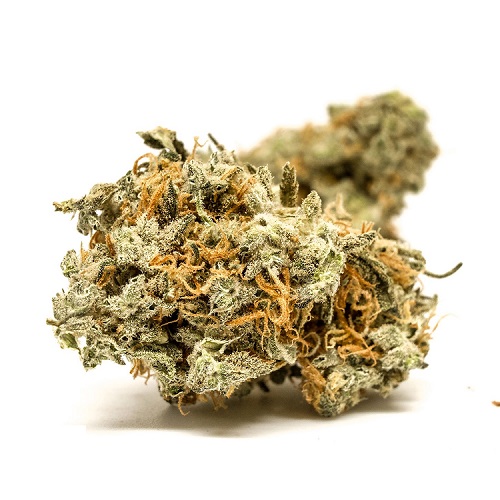 blue-cheese-1804202.jpg Blue Cheese - Image 1