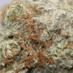 Blue Cheese - Image 2