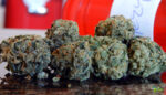 Blue Cheese - Image 2