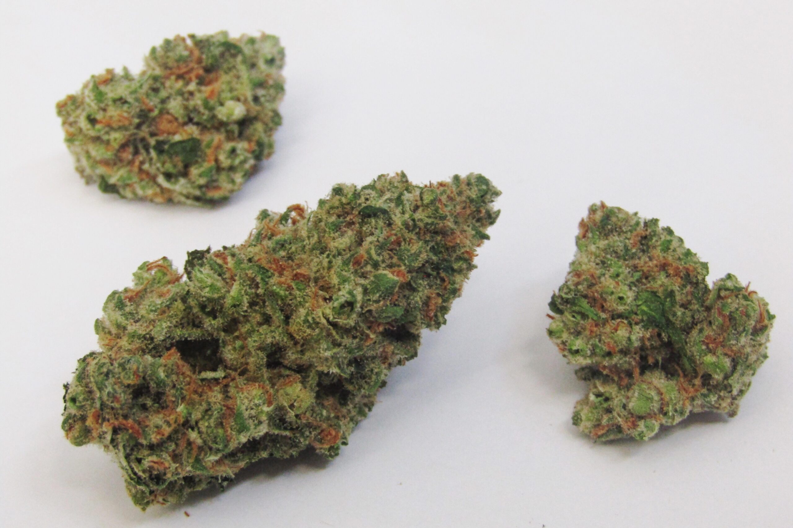bubble_jack-scaled-1.jpg Bubble Kush - Image 1