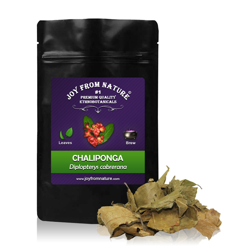 chaliponga-diplopterys-cabrerana-large.jpg Diplopterys cabrerana - Image 1