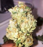 Fat Banana - Image 2