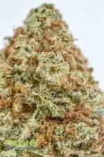 White Widow - Image 2
