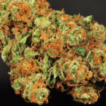 Gorilla Glue #4 - Image 2