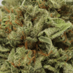 Mandarin Cookies - Image 2