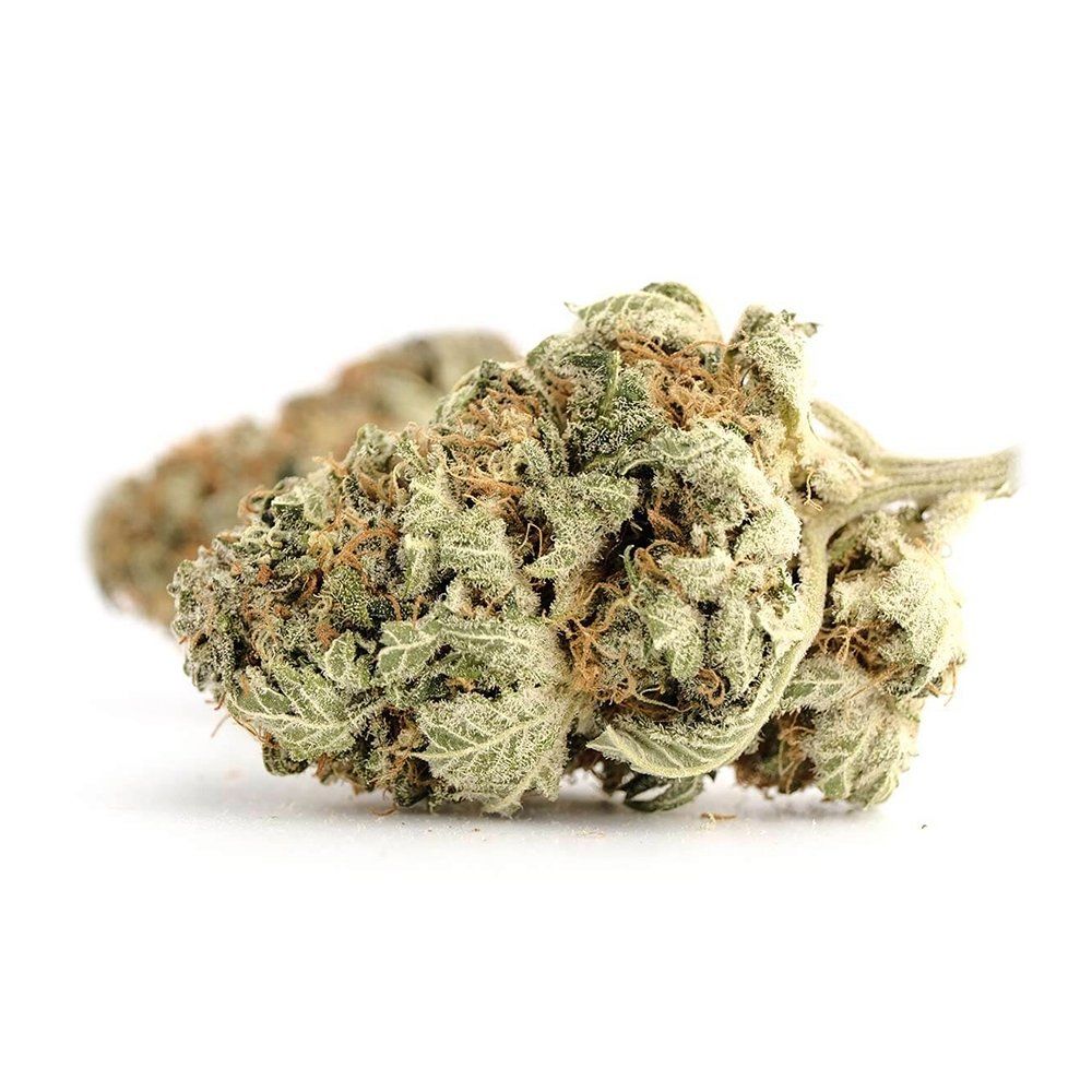 northern_lights_6.jpg Northern Lights - Image 1