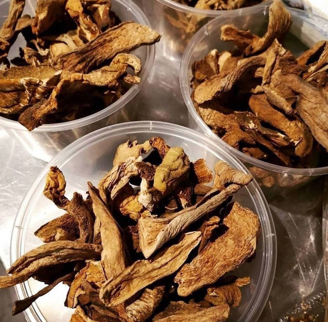 photo_2022-03-10_04-33-46.jpg Penis Envy - Image 1