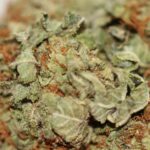 Platinum OG - Image 2